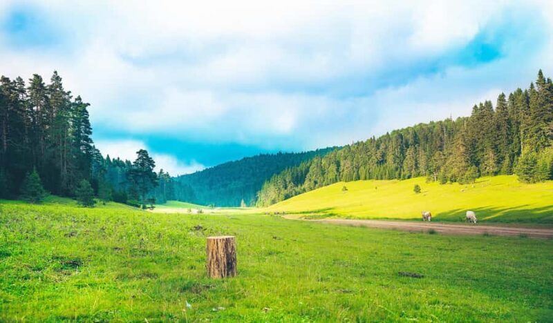 Chongqing: Fairy Mountain Forest Park Ticket - FAQ