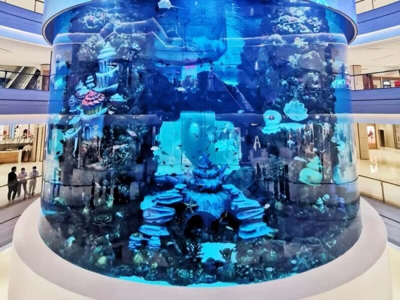 ChongQing Guanyinqiao: A 3-Hour Urban Adventure - Practical Details and Value