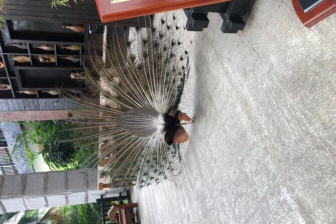 Chongqing Luxury Hot Spring and Massage Luxury Meal Private Tour - FAQ