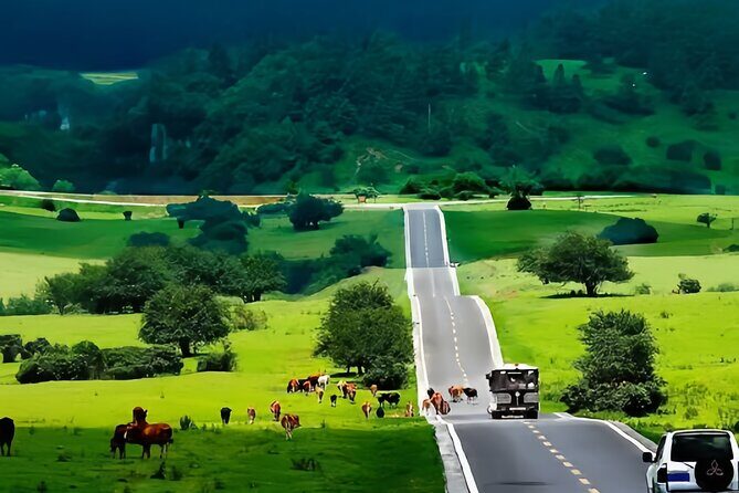 Chongqing One-Day Trip with Wulong 3 Essentials - Key Points