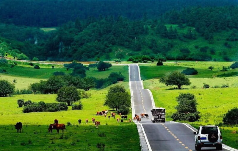 Chongqing One-Day Trip: Wulong's 3 Essentials - Key Points