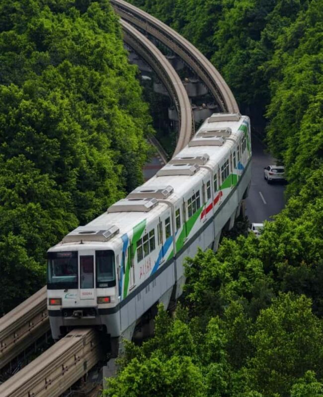 Chongqing: Small Group City Highlights & Light Rail Tour - Key Points