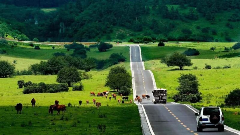 Chongqing: Tiansheng Three Natural Bridges Carpool Tour - The Itinerary Breakdown and What You Can Expect