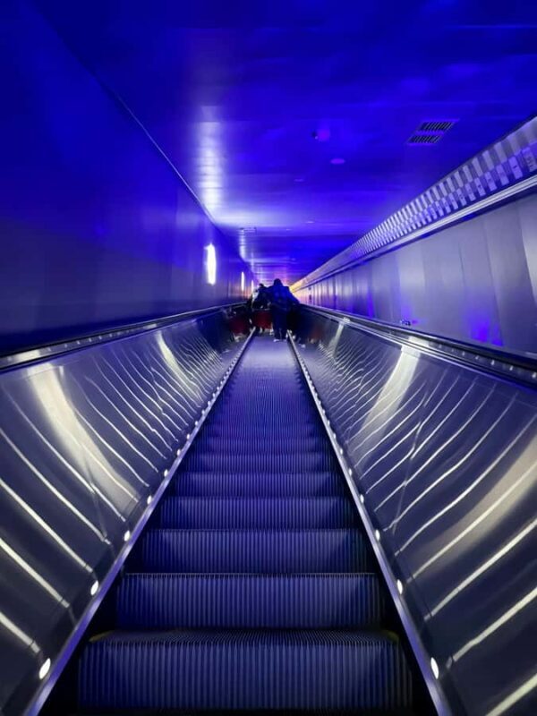 Chongqing: Underwater Museum, 816 Plant, Canyon Private Tour - FAQ