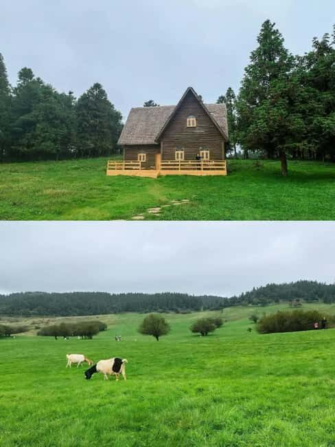 Chongqing: Wulong 2-Day Tour with Boat Cruise - Key Points