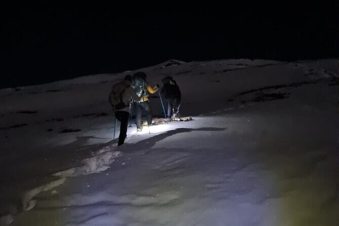 Chopta-Tungnath Trek, A Sunrise at 3700m in the Himalayas - Key Points