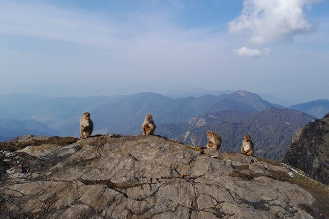 Chopta-Tungnath Trek, A Sunrise at 3700m in the Himalayas - Who Should Consider This Trek?