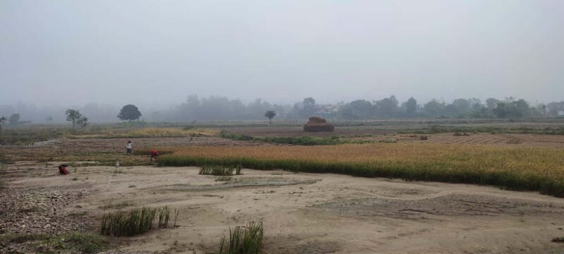 Chormara: Homestay, Meals, & Cultural Immersion Program - Key Points