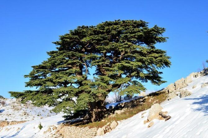 Chouf Charm: Private Journey Through Lebanon's Historic Heartland - Exploring Lebanon’s Historic Heart in Comfort