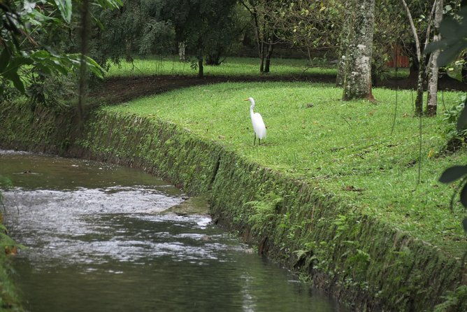 christ-botanic-garden-waterfall-shower-6-hours-tour
