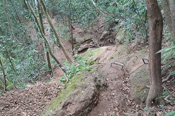 christ-the-redeemer-adventure