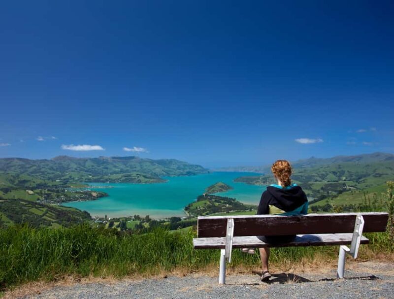 Christchurch: Akaroa and Banks Peninsula Day Trip - Key Points  