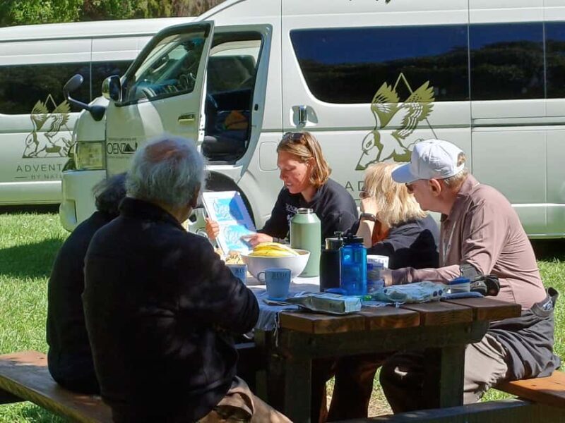 Christchurch: Akaroa and Banks Peninsula Day Trip - Authentic Experiences and Unique Highlights
