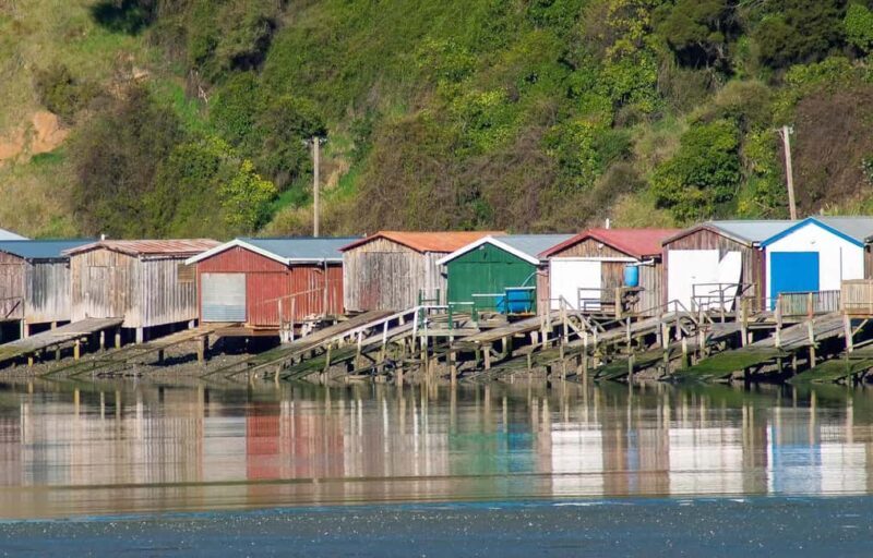 Christchurch: Akaroa and Banks Peninsula Day Trip - The Sum Up