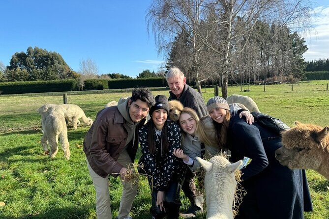 Christchurch Alpaca Farm Tour From Kaiapoi - Who Will Love This Tour?