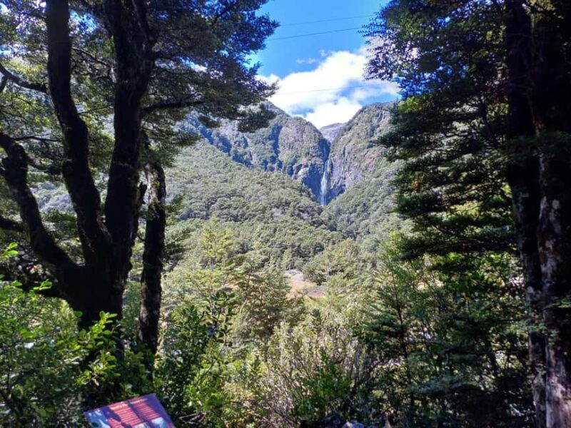 Christchurch: Arthur's Pass & Castle Hill Scenic Day Tour - Who Would Love This Tour?