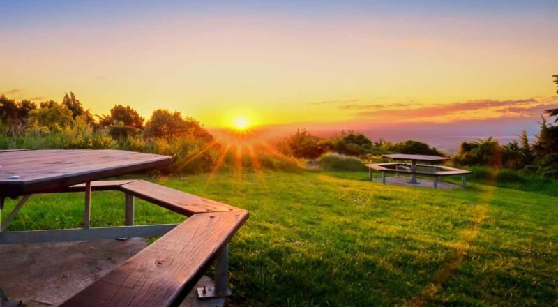 Christchurch City Highlights Half Day Tour - FAQ