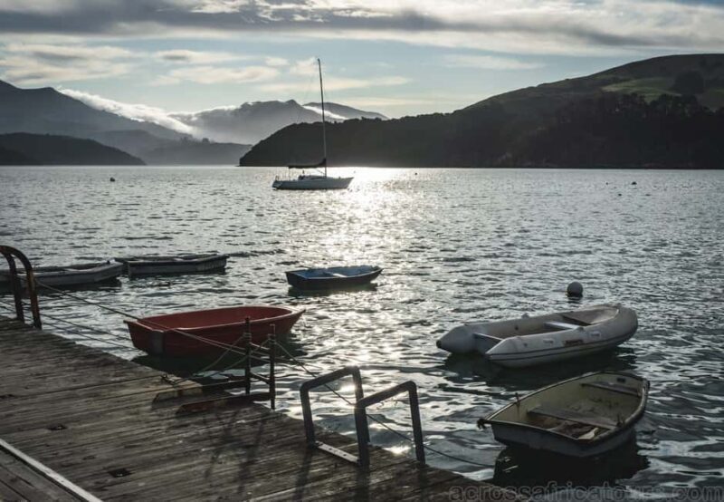 Christchurch City & Jetboat Adventure from Akaroa - The Sum Up