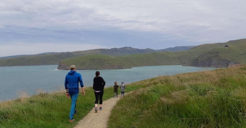 Christchurch: Godley Head & Lyttelton Guided Walking Tour - Authentic Insights from Travelers