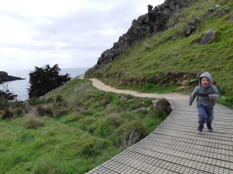 Christchurch: Godley Head & Lyttelton Guided Walking Tour - FAQ