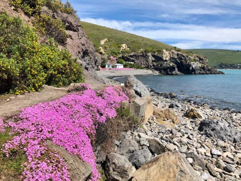 Christchurch: Guided Crater Rim Walk with Coastal Scenery - Key Points