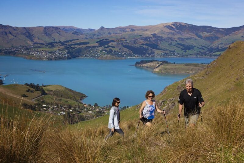 Christchurch: Guided Crater Rim Walk with Picnic - An In-Depth Look at the Crater Rim Walk Experience