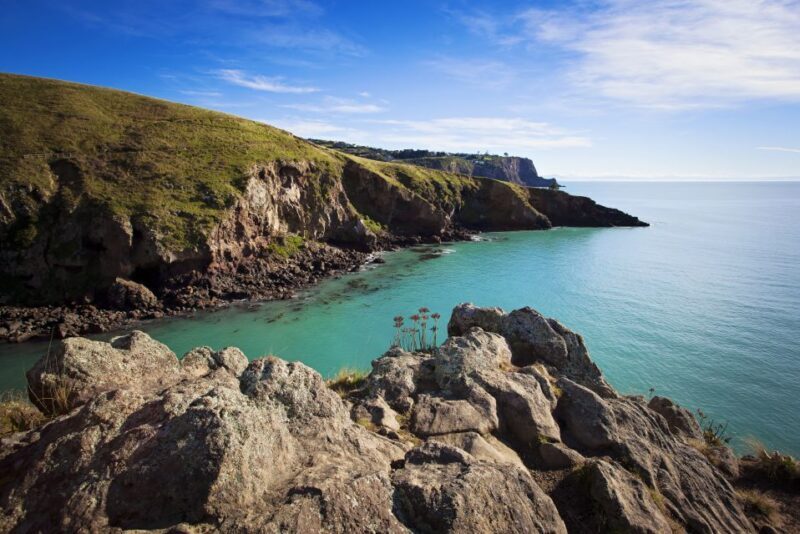 Christchurch: Guided Crater Rim Walk with Picnic - Guides, Group Size, and Personal Touches