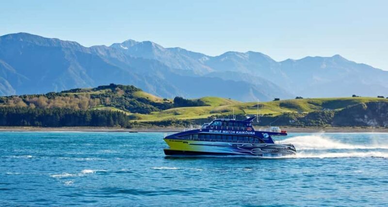 Christchurch: Kaikoura Whale Watching Day Tour - An In-Depth Look at the Kaikoura Whale Watching Day Tour