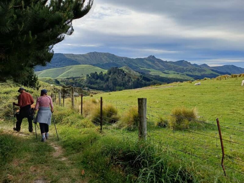 Christchurch: Packhorse Hut Guided Walk and Scenic Drive - The Practical Details