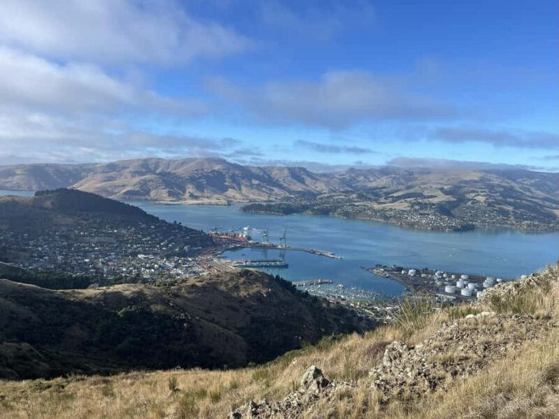 Christchurch: Port Hills Full-Day Trail Running Tour - An In-Depth Look at the Port Hills Trail Running Experience