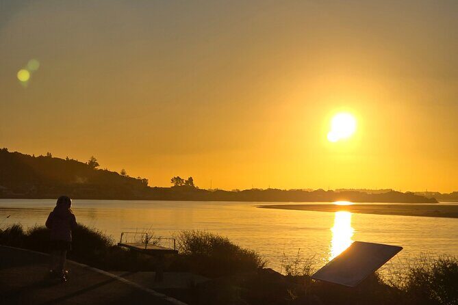Christchurch Private Tour (Premium) Full day - Who Is This Tour Best For?