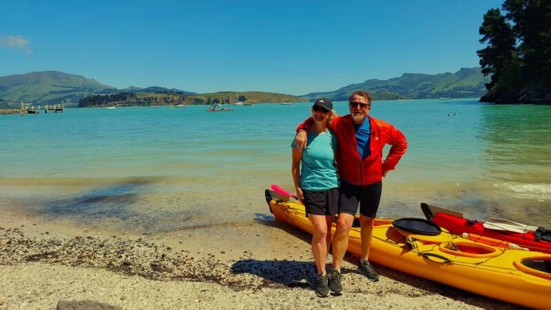 Christchurch: Sea Kayaking Tour of Lyttelton Harbour - Key Points