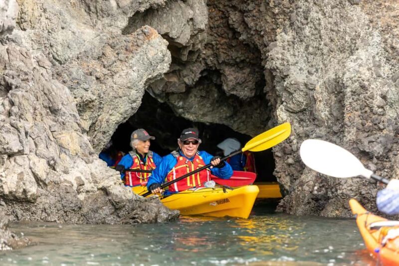 Christchurch: Sea Kayaking Tour of Lyttelton Harbour - What Makes This Tour Special?