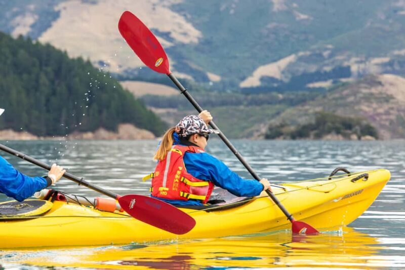 Christchurch: Sea Kayaking Tour of Lyttelton Harbour - The Experience Itself: What You Can Expect