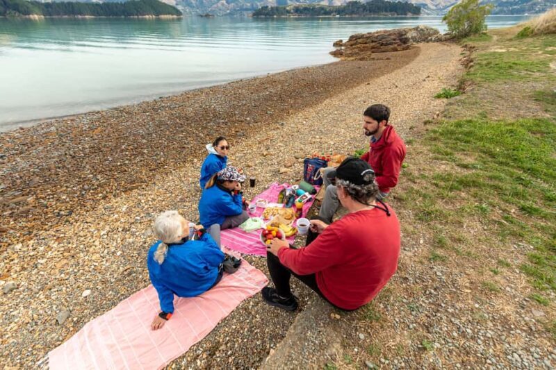 Christchurch: Sea Kayaking Tour of Lyttelton Harbour - Practical Tips for Your Kayaking Day
