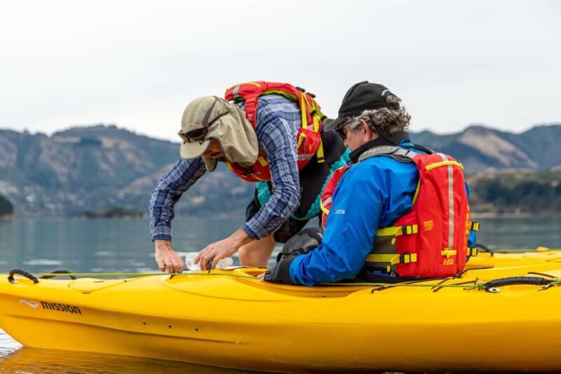 Christchurch: Sea Kayaking Tour of Lyttelton Harbour - Who Should Consider This Tour?