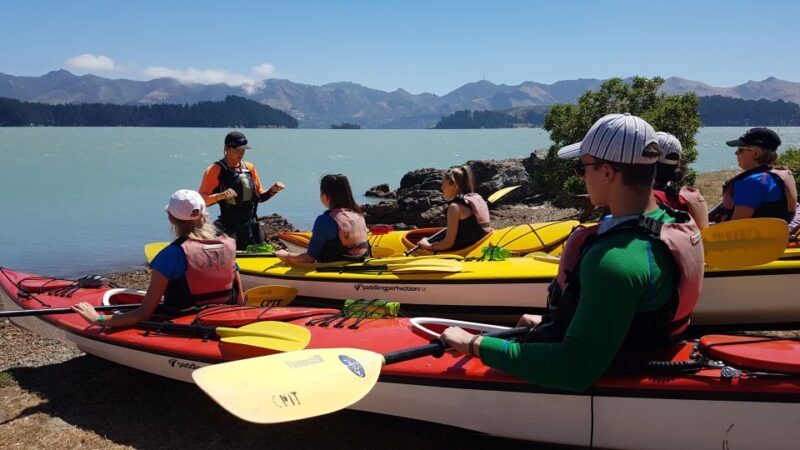 Christchurch: Sea Kayaking Tour of Lyttelton Harbour - FAQ