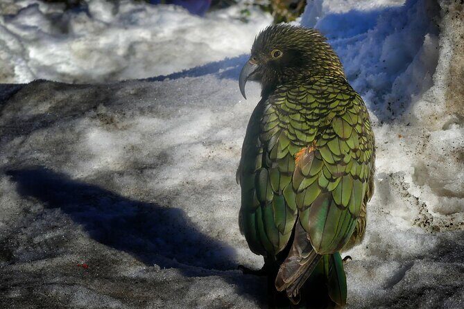 Christchurch to Queenstown One-Way Tour via Mt Cook & Lake Tekapo - FAQ