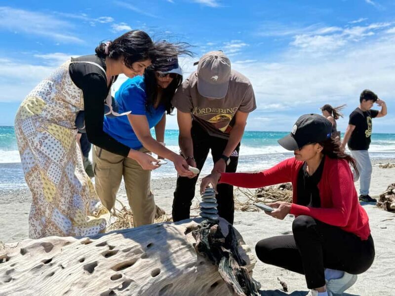 Christchurch to Queenstown via Franz Josef 2-Day Tour - Authentic Traveler Insights