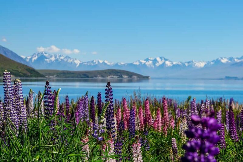 Christchurch: to Queenstown via Mt Cook 1 Way Tour - Who Would Love This Tour?