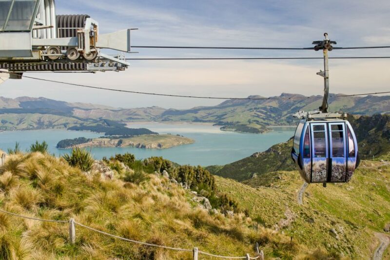 Christchurch: Tram, Punt and Gondola Ride Combo Ticket - Practical Details and Value