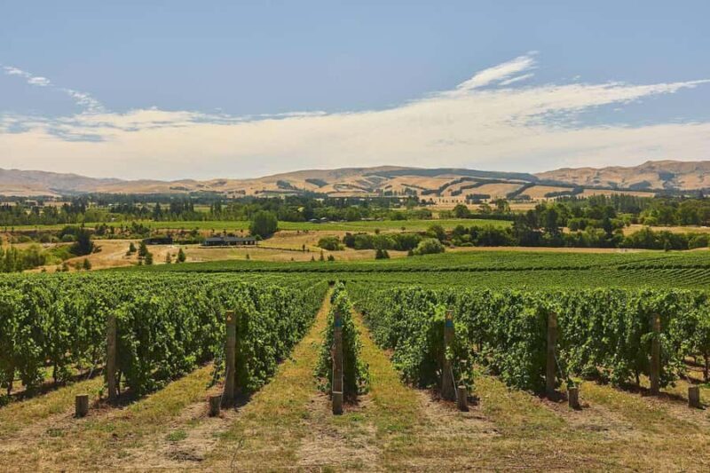 Christchurch Waipara Valley Private Wine Tour - Key Points