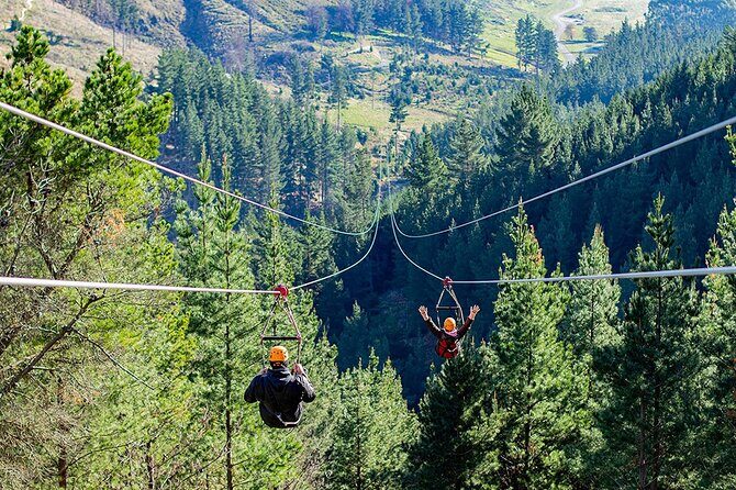 Christchurch Zipline Tour - Key Points