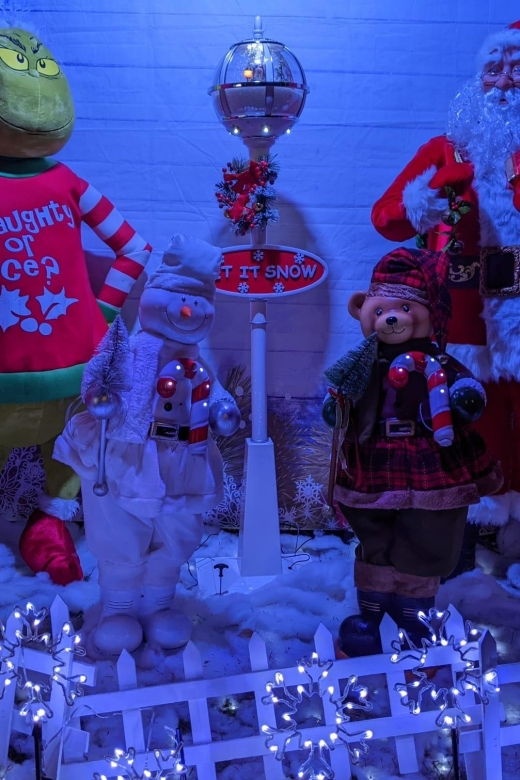 christmas-light-night-tour