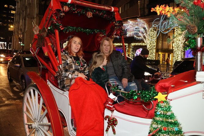 christmas-light-private-carriage-ride-new-york-city