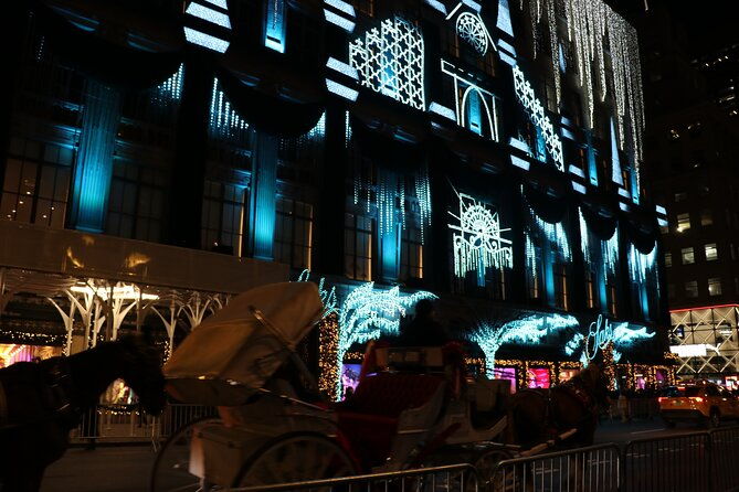 christmas-light-private-carriage-ride-new-york-city