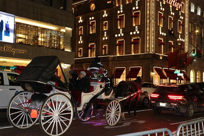 christmas-light-private-carriage-ride-new-york-city