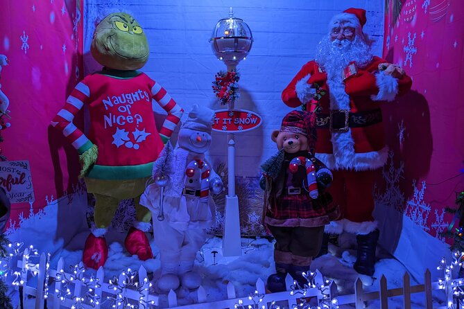 christmas-lights-tour-2