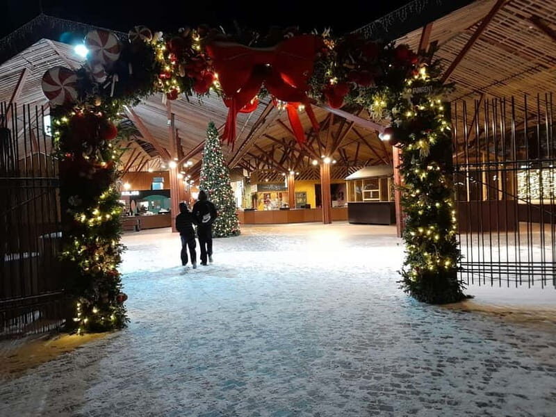 Christmas walking tour Tallinn Christmas market - Who Should Consider This Tour?