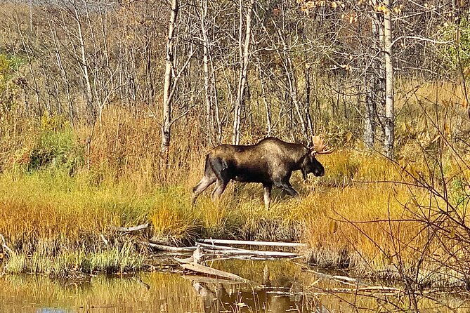 chugach-state-park-nature-walk